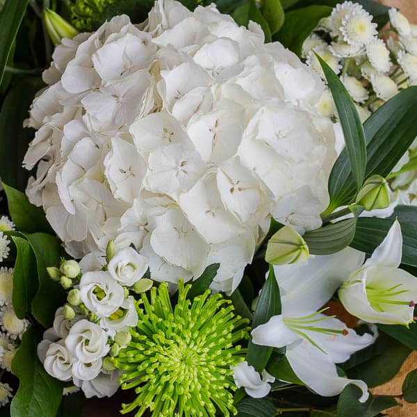 order flowers online delivery flowers Dublin