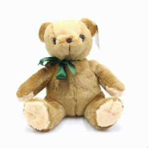 Humphrey the teddy bear oasis florists