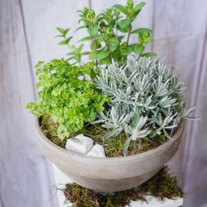 herb garden dublin florists