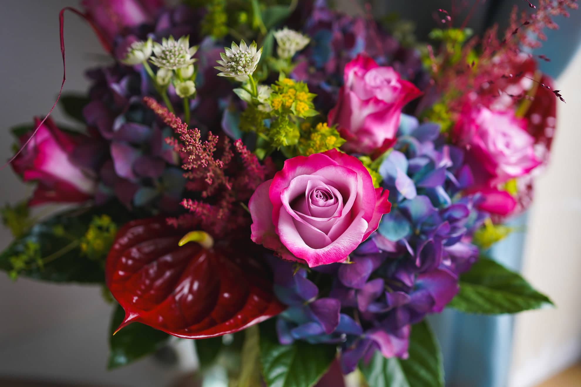 Top House Plants & Bouquets for Every Dublin Home – Expert Tips from Oasis Florists